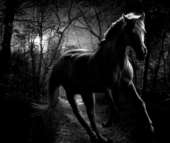 Dark Horse [1992]